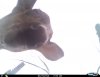 I__00675.JPG