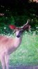 20160806_103945.jpg