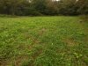 DSCN0962.JPG