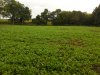 DSCN0964.JPG