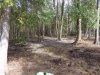 DSC02383.JPG