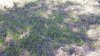 20160902_134335.jpg