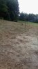 IMG_20160902_184719370.jpg