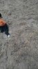 IMG_20160902_190454423.jpg
