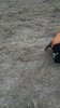 IMG_20160902_190506038.jpg