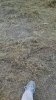 IMG_20160902_184657916.jpg