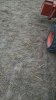 IMG_20160902_184525399.jpg