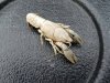 20160903_135902.jpg
