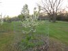 DSCN0691.JPG