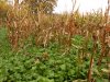 DSCN0290.JPG