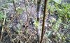 KINDLE_CAMERA_1473154266000.jpg