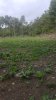 20160910_091046.jpg