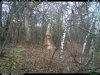 2013-11-10 08-27-51 M 1_3.JPG