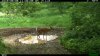 2016-06-09 11-25-49 M 1_3.JPG