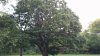 IMG_1029.JPG IMG_1029.JPG