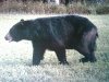 IMG-20110815-00097.jpg