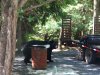 BIG V bear vids 001.JPG