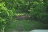 DSC_0011.JPG