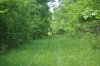 DSC_0059.JPG