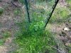 DSC00121.JPG