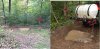 water hole fill.jpg
