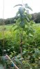 20161001_125645.jpg