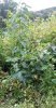 20161001_125655.jpg