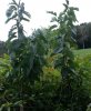 20161001_125722.jpg