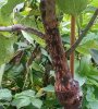 20161001_125731.jpg