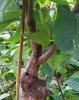 20161001_125728.jpg