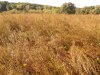 DSCN0985.JPG