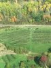 Orchard pic 4.jpg
