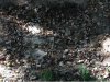 dried water hole.jpg