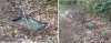 north new water hole.jpg