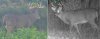 comp_side_by_side2.jpg