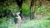 IMG_20161029_150533733-800x450.jpg