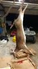 IMG_20161030_210806865.jpg