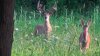 DSC00035.JPG DSC00035.JPG
