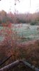 20161120_063242.jpeg