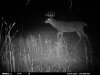HUNT0089.JPG
