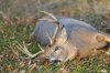 DSC_8653_1.jpg DSC_8653_1.jpg