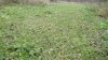 IMG_20161130_104957615.jpg