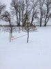 IMG_0812.JPG