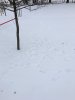 IMG_0813.JPG