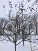 IMG_0816.JPG