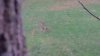 0A660AF0BF010000CE500002-attachment-1-image000000.jpg