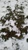 IMG_20161210_132135531.jpg
