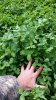 20160429_082418_resized.jpg