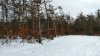 IMG_20170127_162140433_HDR.jpg