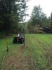 scrape tree 4.jpg